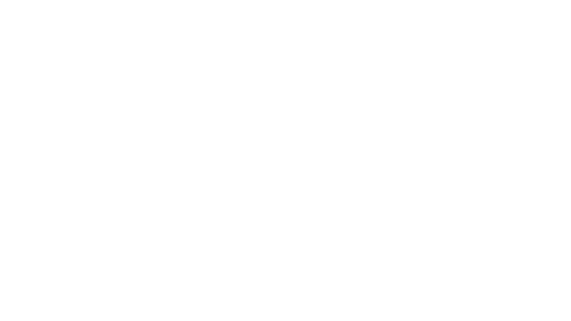 Eleven Sports 2 Poland logo
