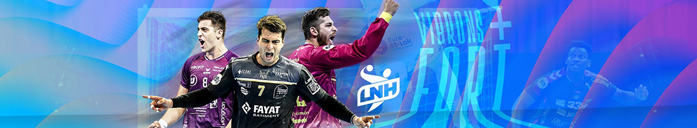 French LNH Division 1 background