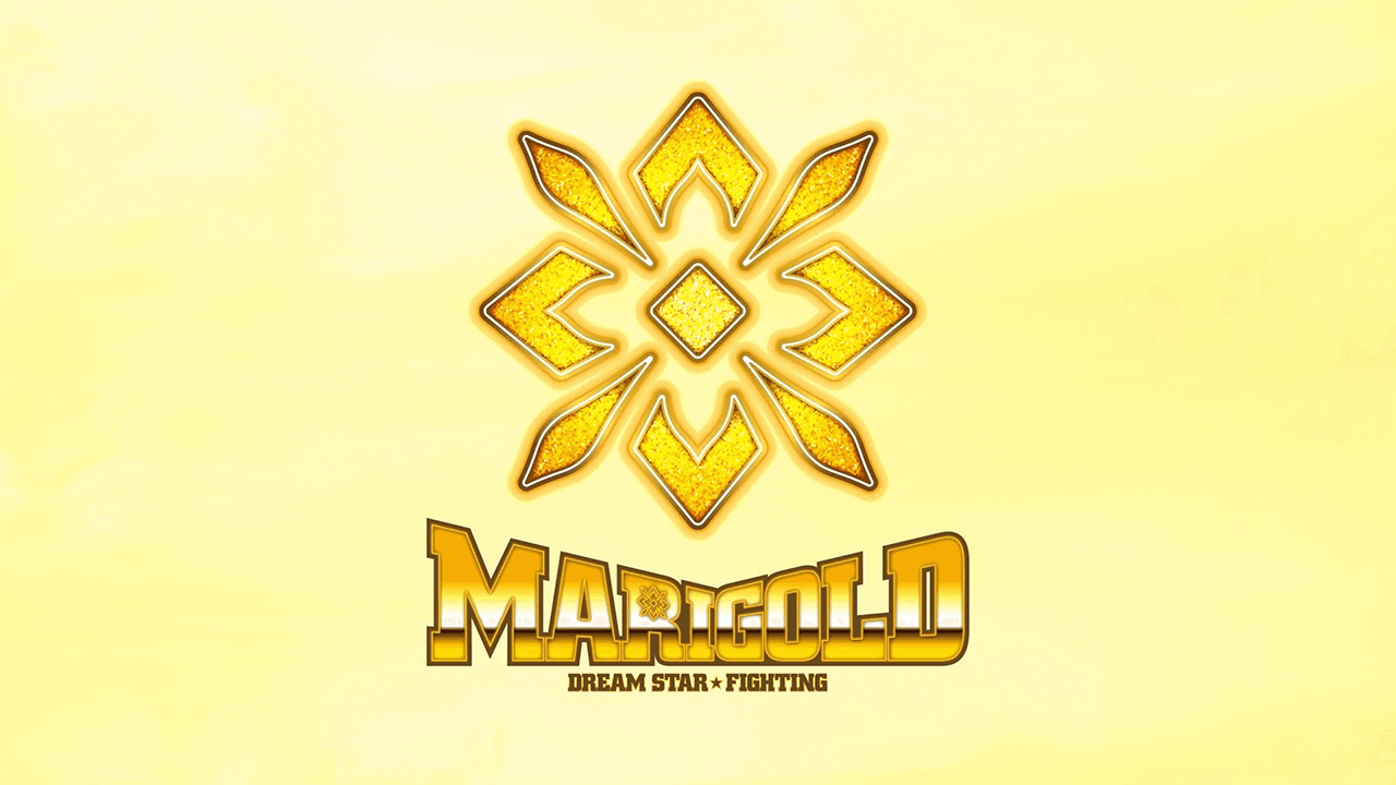Marigold background