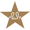 Pakistan Cricket Women logo