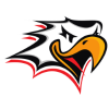 Vaasan Sport logo