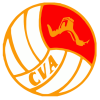 China Volleyball logo