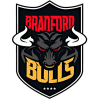 Bradford Bulls logo