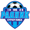 Radnik Surdulica logo