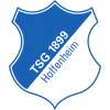 Hoffenheim Women logo