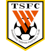 Shandong Taishan logo